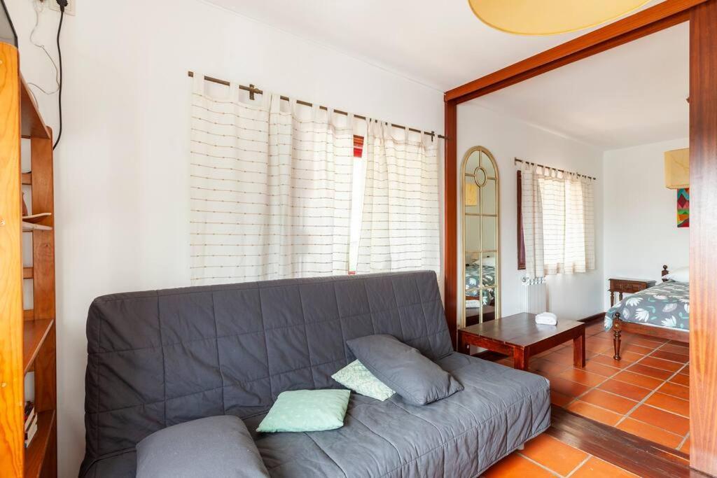 Maison Avec Piscine : Quinta Do Sol アマランテ エクステリア 写真