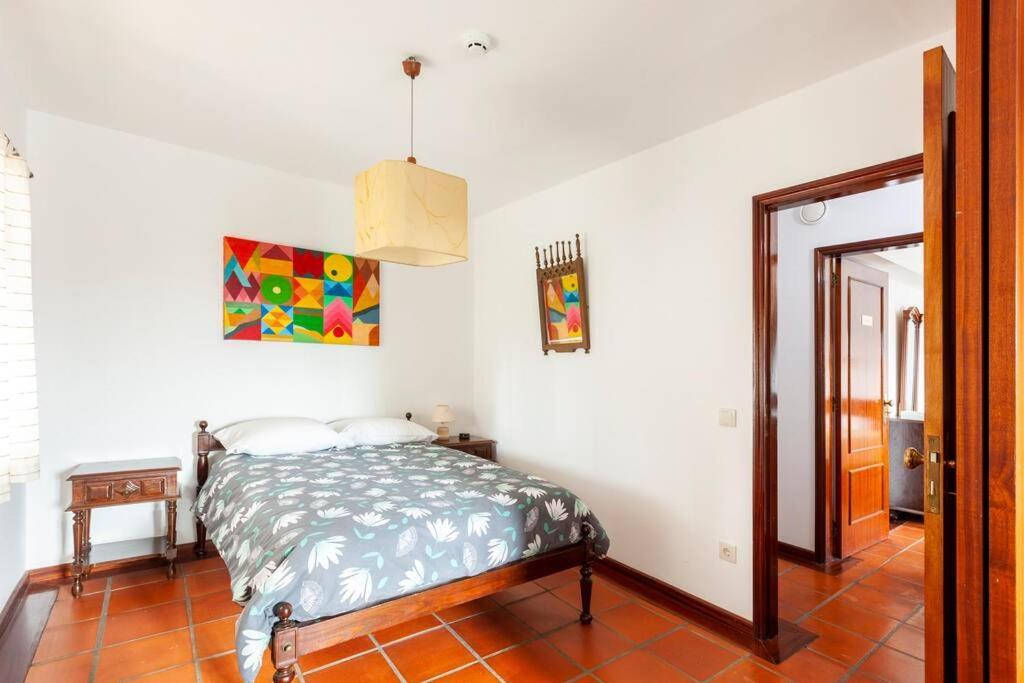 Maison Avec Piscine : Quinta Do Sol アマランテ エクステリア 写真